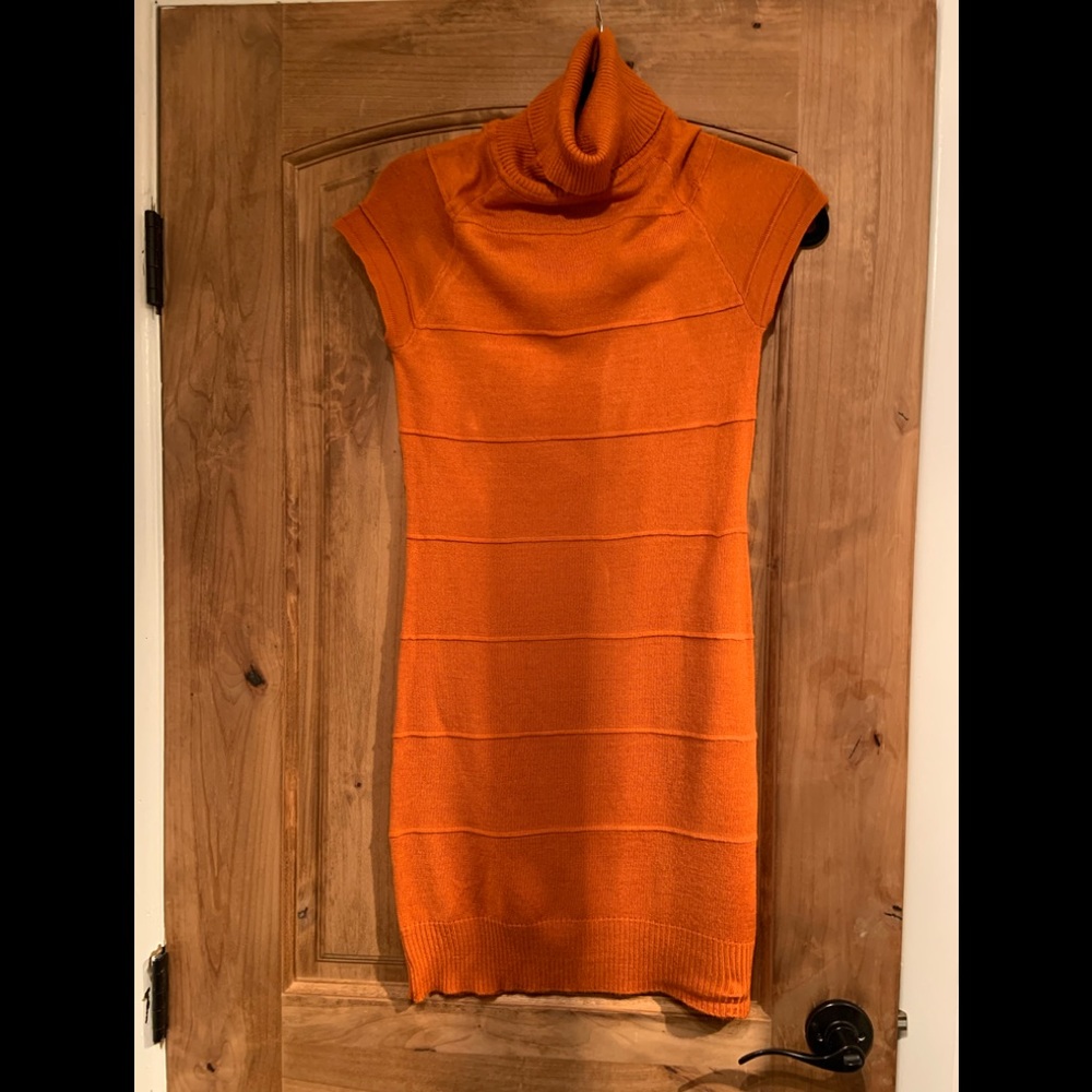 Turtle neck. Sweater dress.